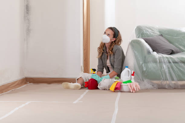 Reliable Black Mold Removal contractor in New Braunfels, TX by WQB Mold Removal